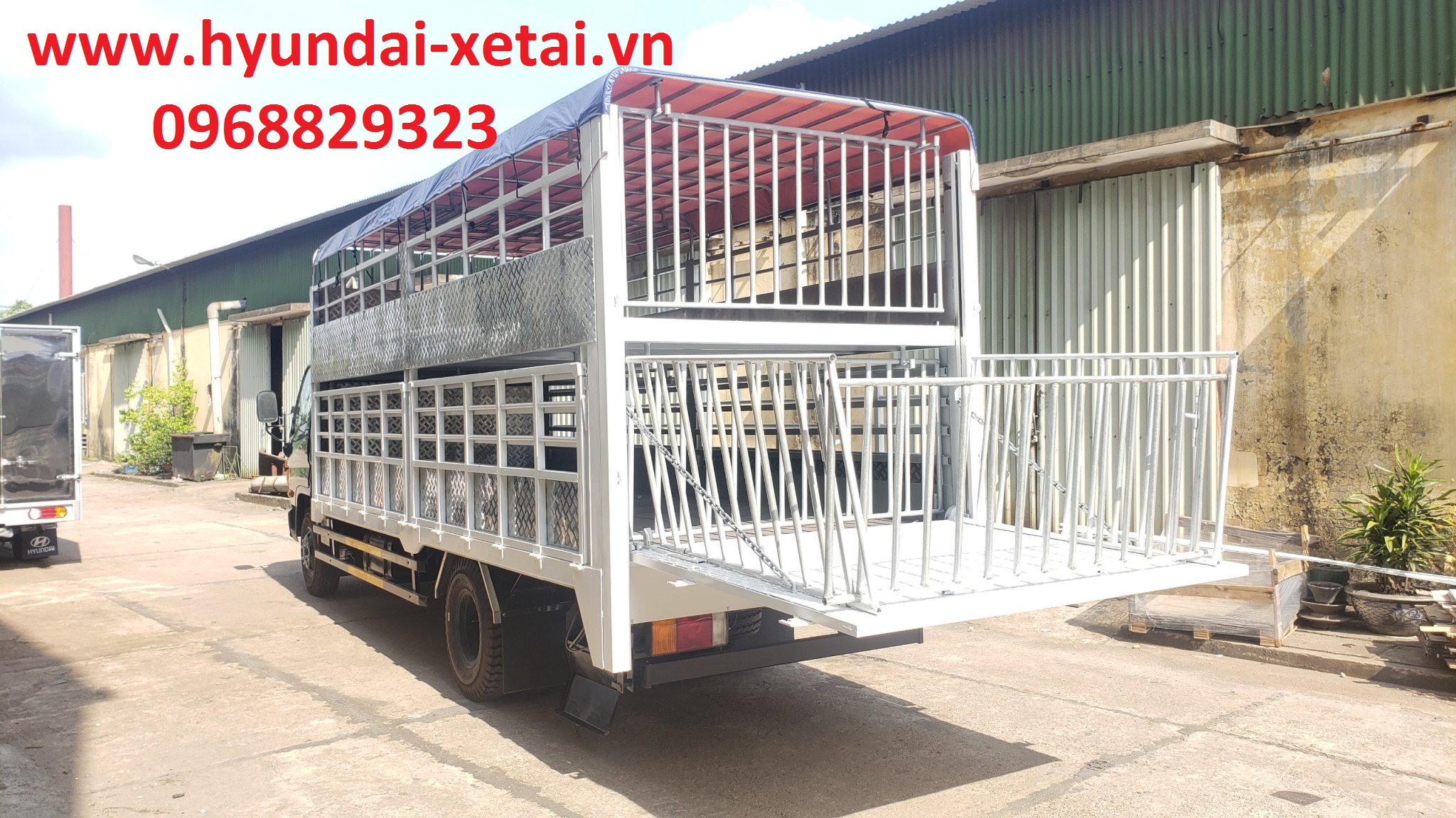 xe tải chở gia súc hyundai