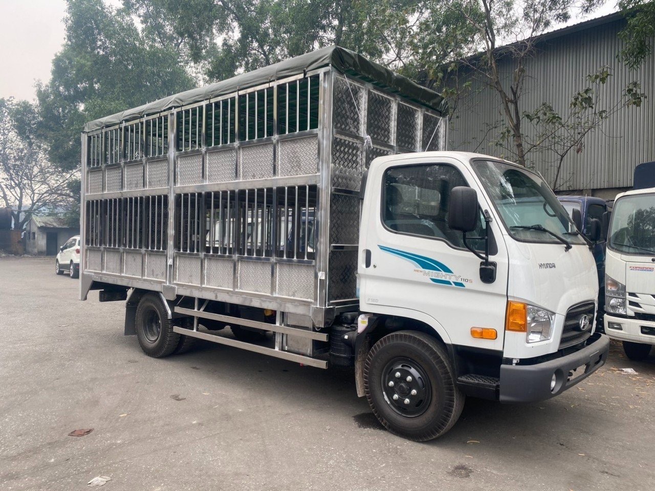 xe chở gia súc